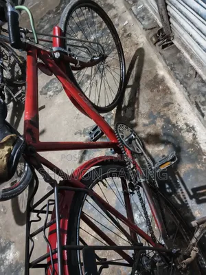 Bicycle Phoenix Call