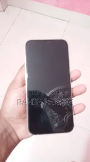 Apple iPhone 12 Pro Max 256 GB Silver