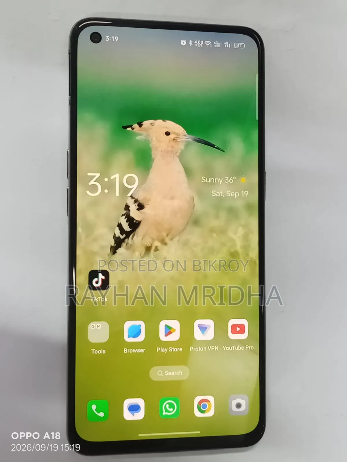 অপ্পো রেনো ৫ ১২৮ জিবি পার্পল