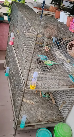 2-Story Bird Cage with 6 Compartments