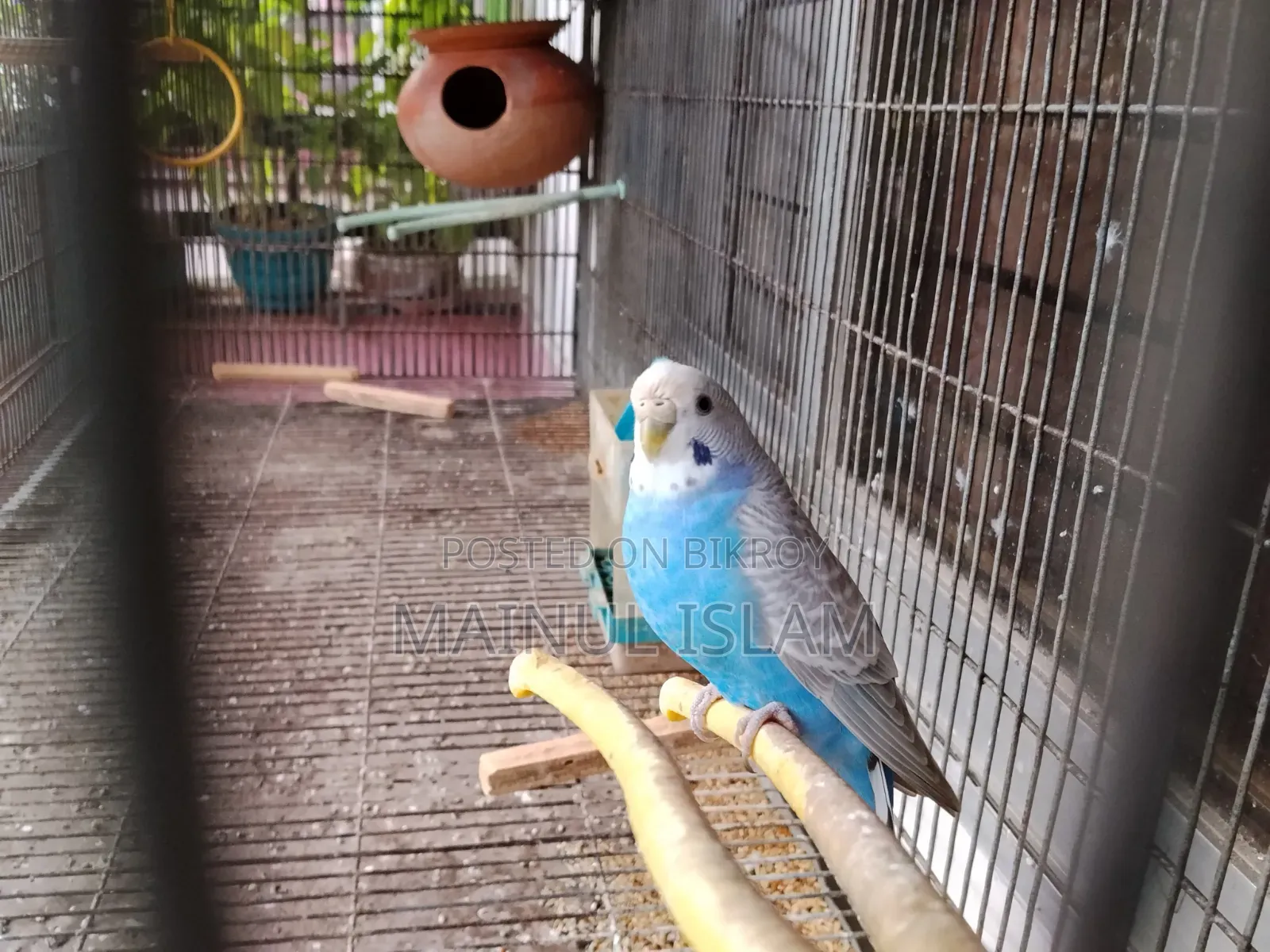 2-Story Bird Cage with 6 Compartments