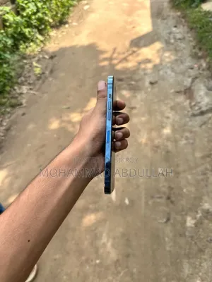 Apple iPhone 12 Pro Max 128 GB Blue