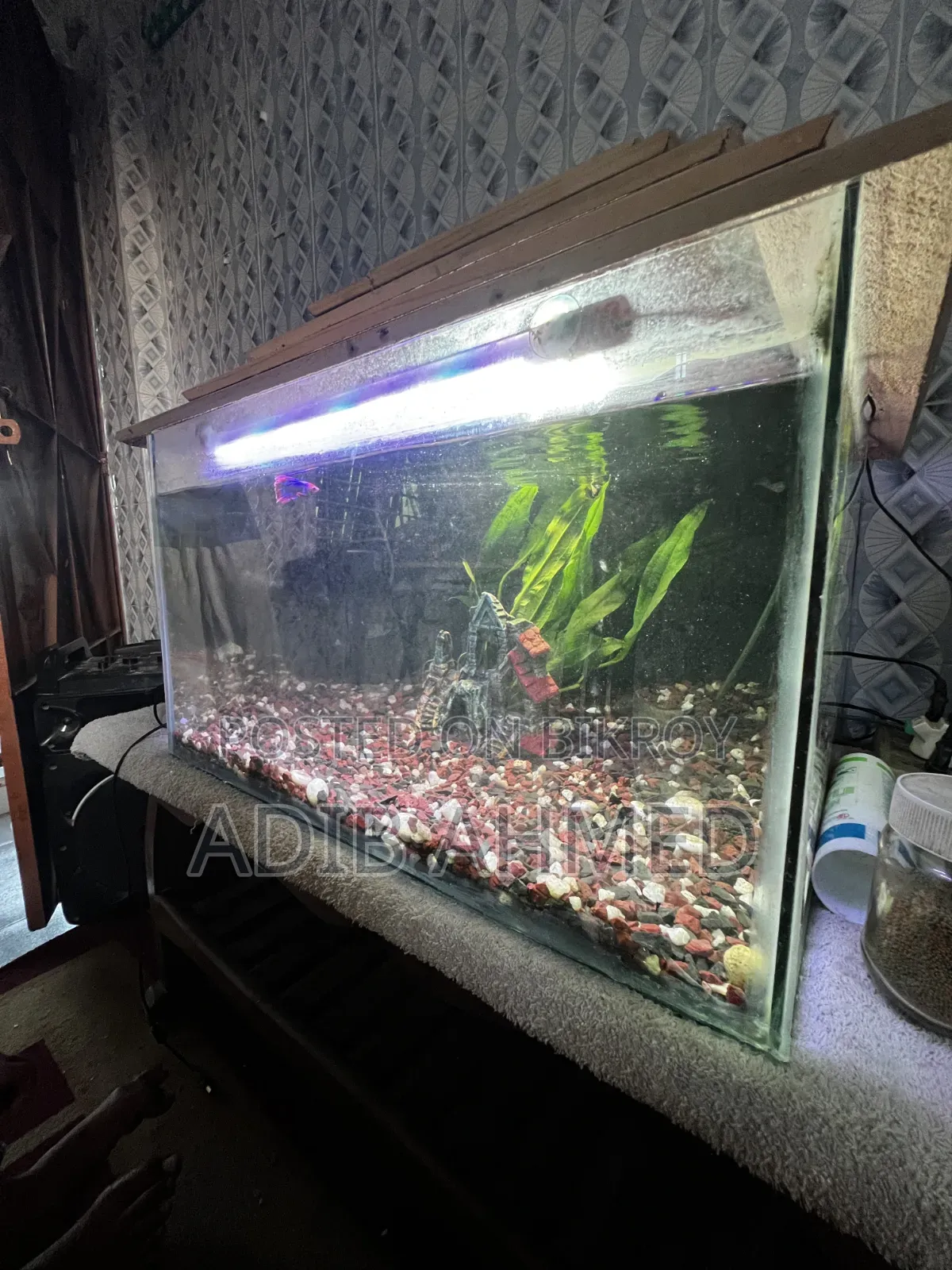2/1.6ft Aquarium With All Accessories