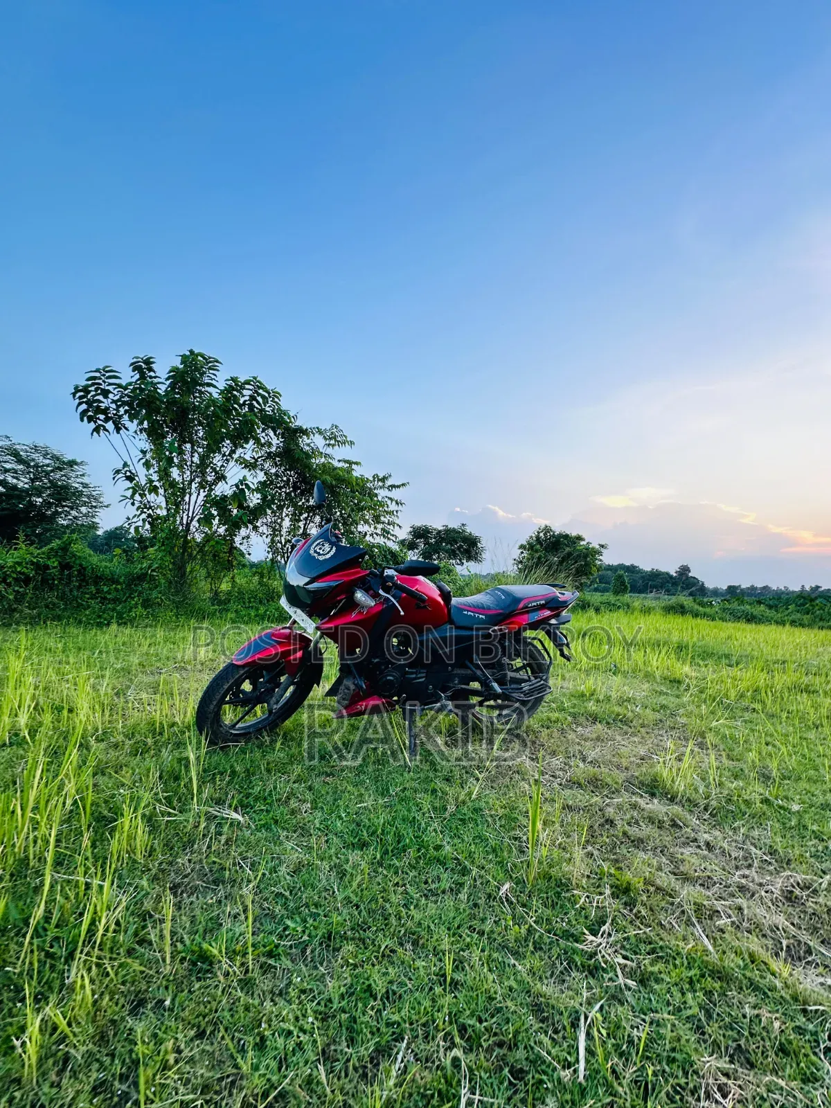 TVS Apache RTR 160 2V 2016 Red