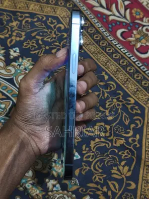 অ্যাপল আইফোন ১৩ প্রো ম্যাক্স ২৫৬ জিবি নীল