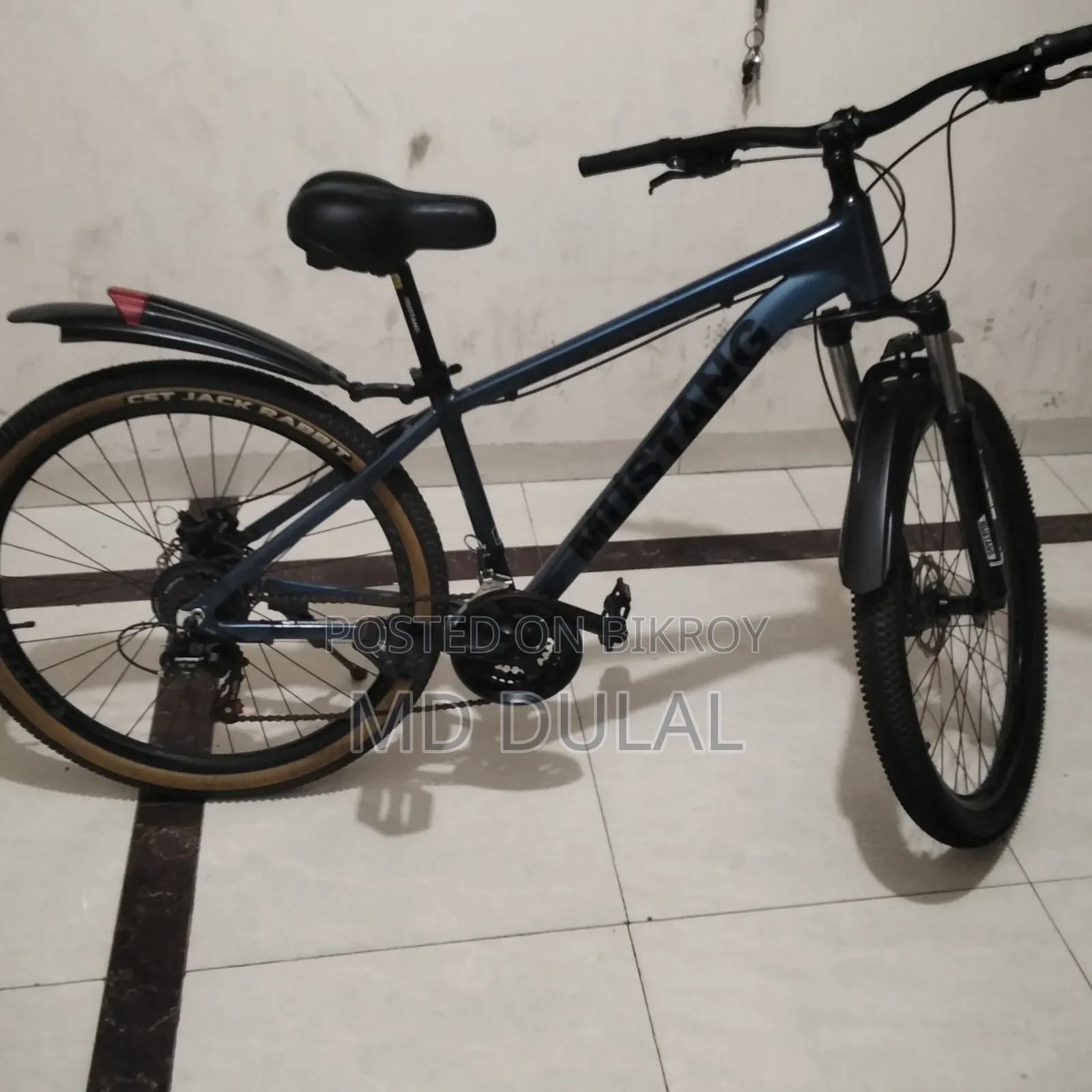 I will sell a bicycle