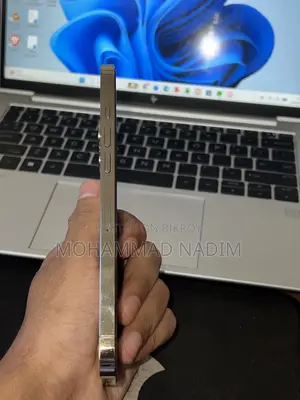Apple iPhone 12 Pro Max 128 GB Blue