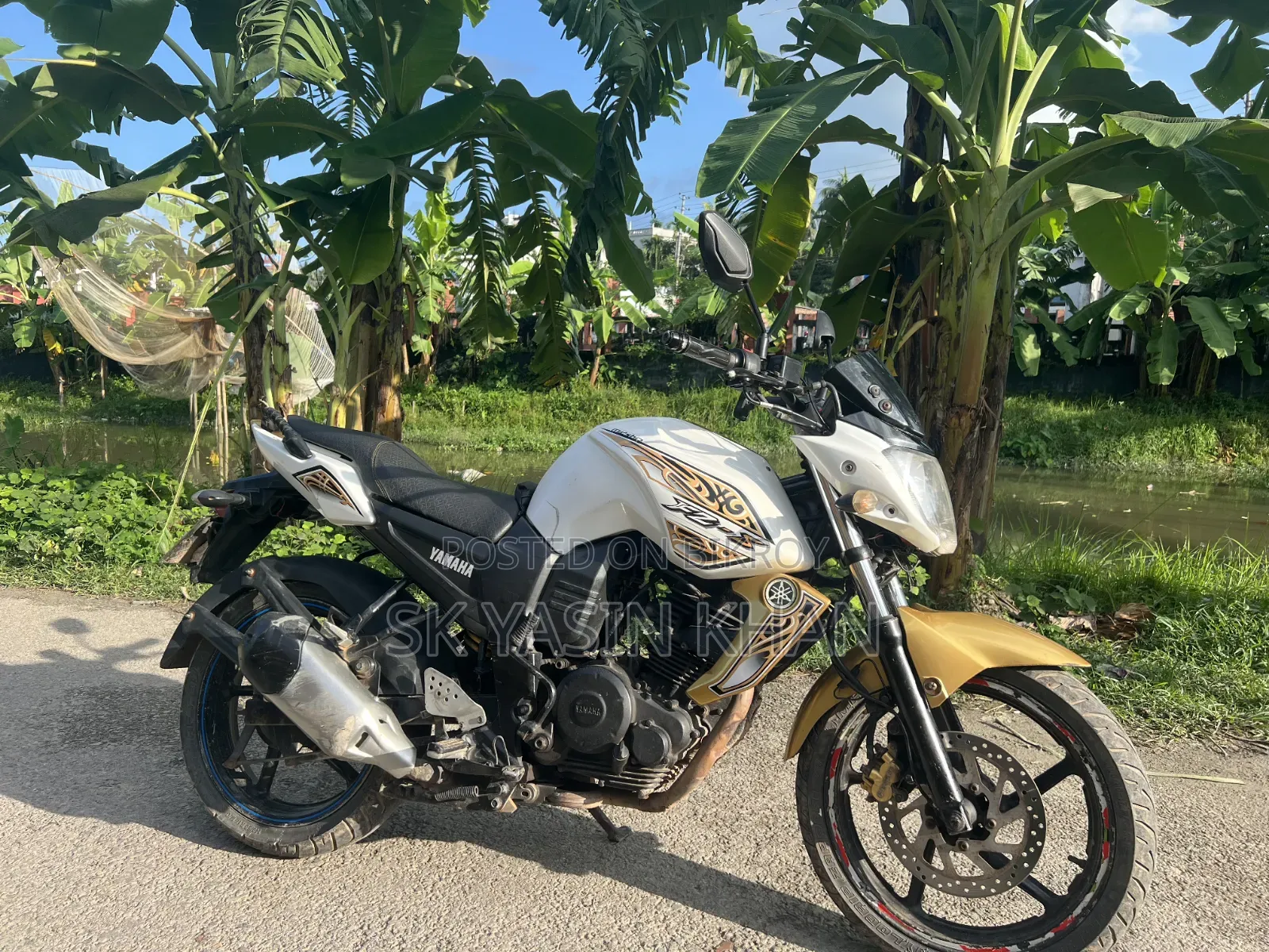 Yamaha FZ 2012 White