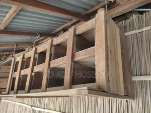 Pigeon Cage