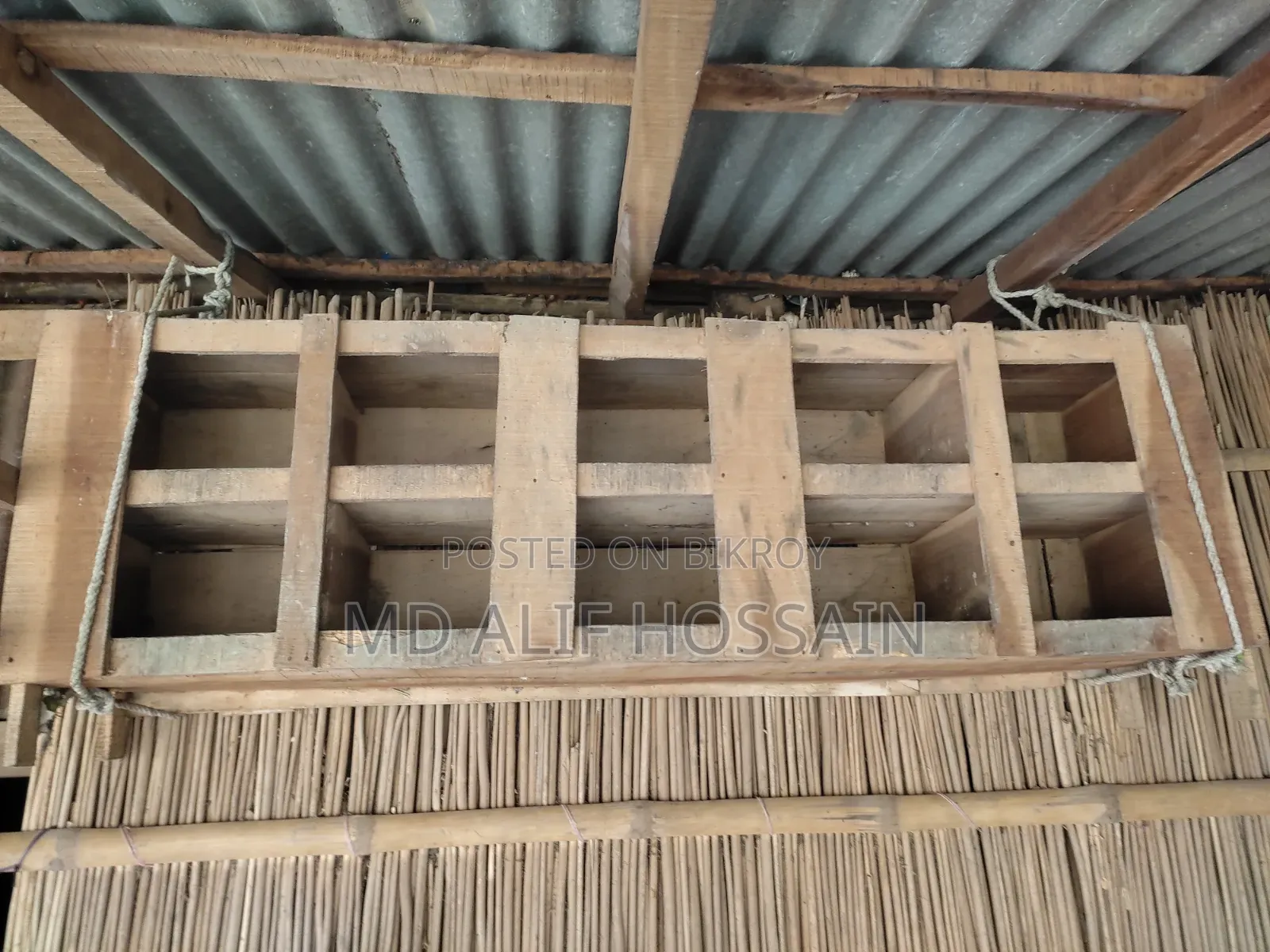 Pigeon Cage