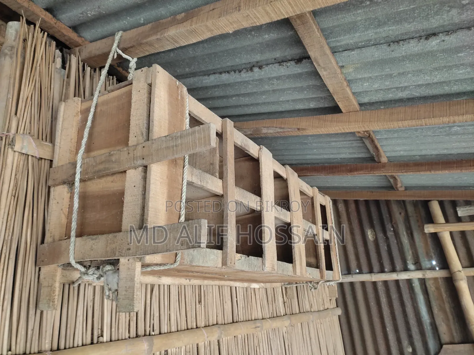 Pigeon Cage