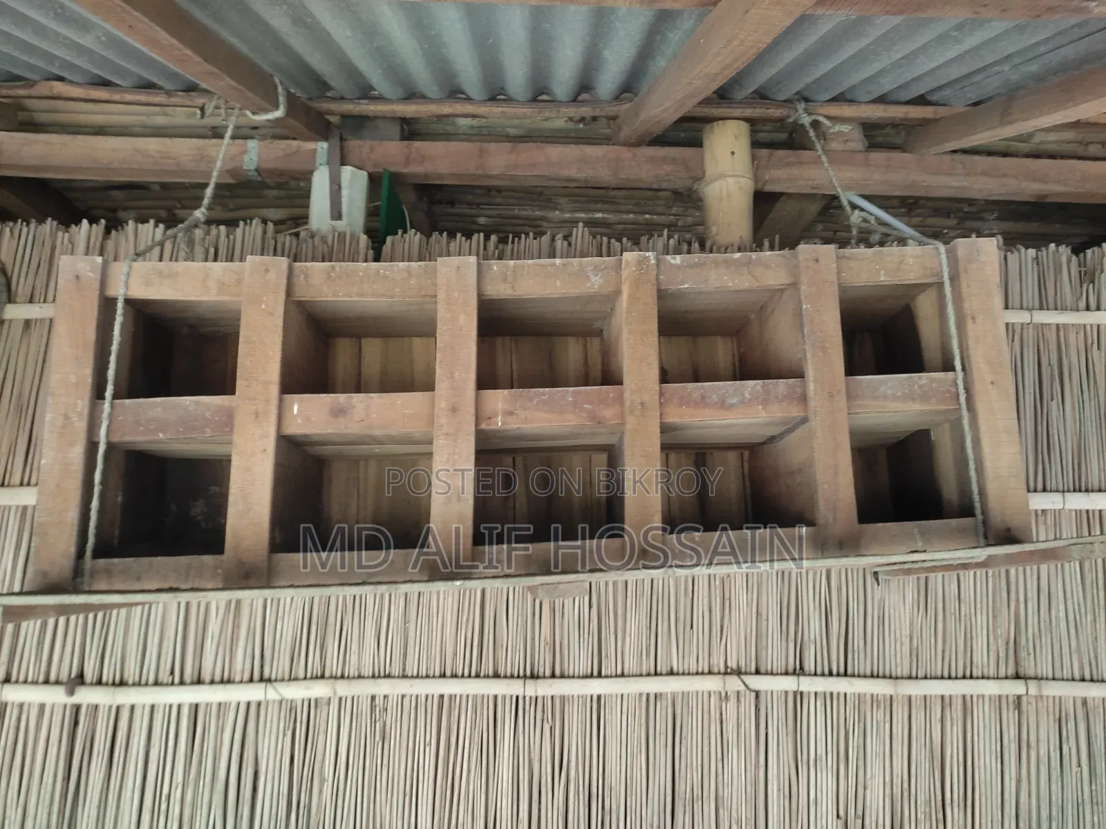 Pigeon Cage