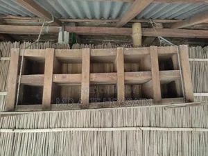 Pigeon Cage