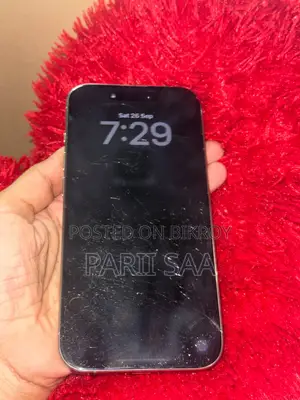 Apple iPhone 15 Pro 256 GB Gray