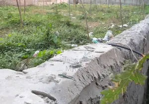 2 Katha Residential Land for Sale Urgently Due to Need for Money