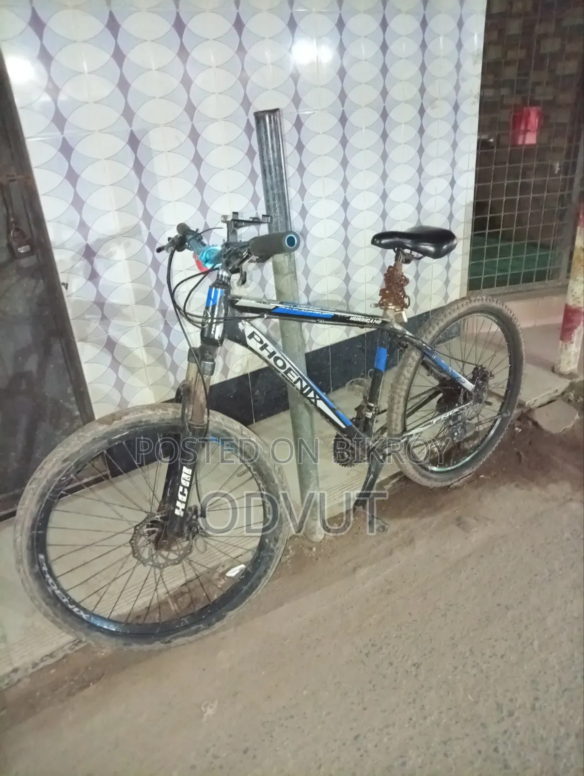 PHOENIX 27-inch Cycle