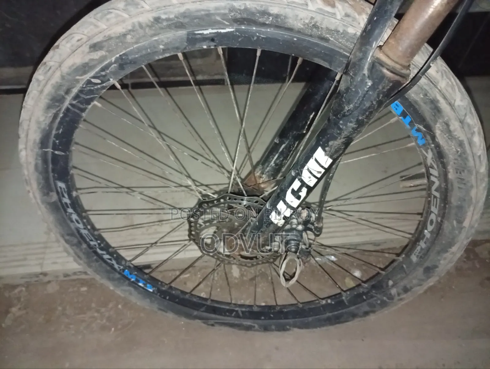 PHOENIX 27-inch Cycle