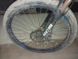 PHOENIX 27-inch Cycle