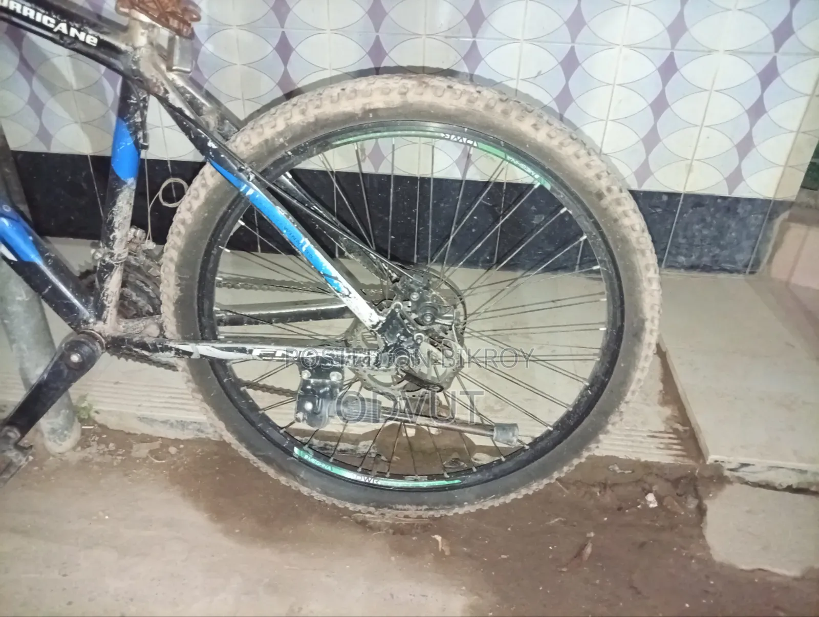 PHOENIX 27-inch Cycle