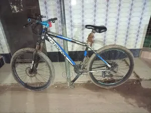 PHOENIX 27-inch Cycle