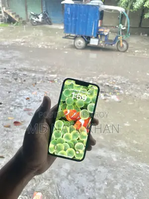 অ্যাপল আইফোন ১৩ ১২৮ জিবি ব্লু