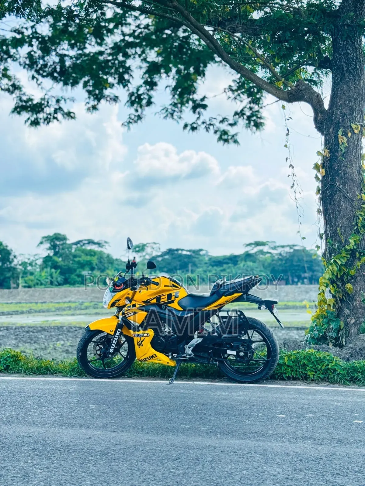 সুজুকি জিক্সার ২০২৪ ইয়েলো