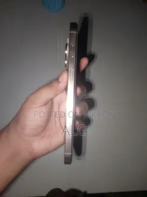 Apple iPhone 16 Pro Max 256 GB Rose Gold