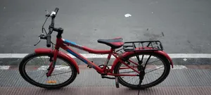 Bicycle Syedpur Biggan College