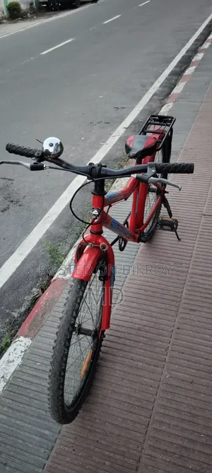 Bicycle Syedpur Biggan College
