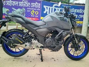 New Yamaha FZS V3 2024 Gray