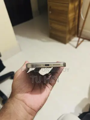 Apple iPhone 16 Pro Max 256 GB Silver