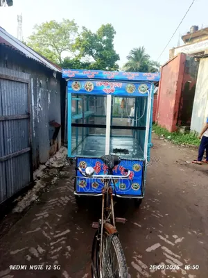 Fuska Chotpoti Cart for Sale