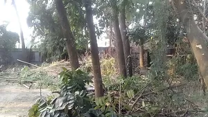 Land for Sale - "1 Gonda"