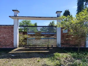 Box Corner 3 Katha Boundary Plot for Sale in Sector 15