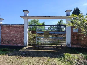 Box Corner 3 Katha Boundary Plot for Sale in Sector 15