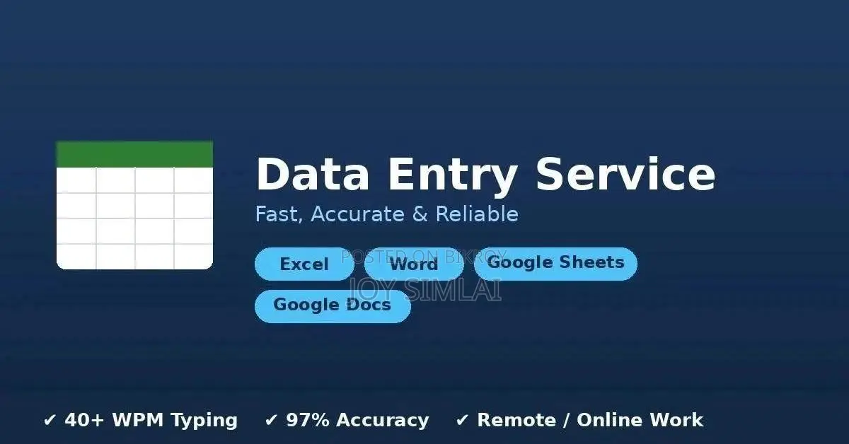 Data Entry Service (MS Excel, Word, Google Sheets, Docs)