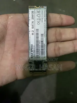 Max Speed M.2 SATA 256GB solid-state drive
