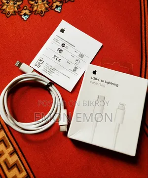 Type-C to Apple Cable