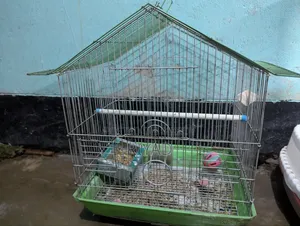 Cage
