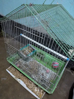 Cage