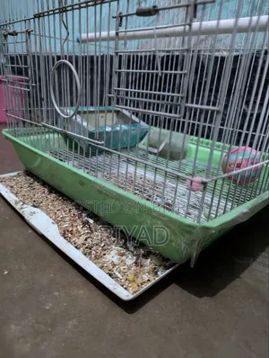 Cage