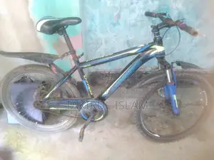 Bi Cycle Express