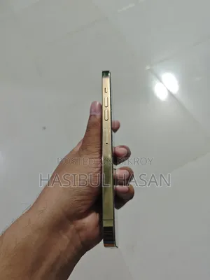 অ্যাপল আইফোন ১৩ প্রো ম্যাক্স ২৫৬ জিবি গোল্ড