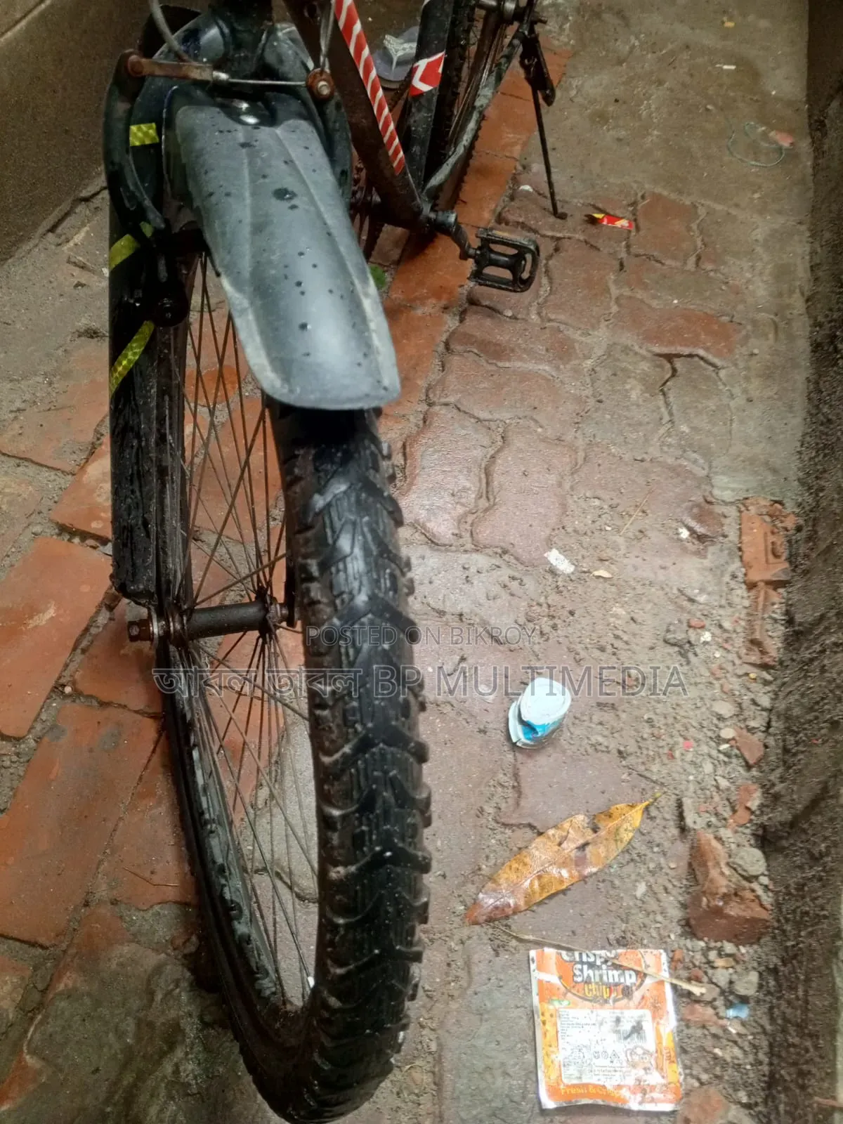 , Bicycle