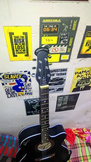 Signature Guitar