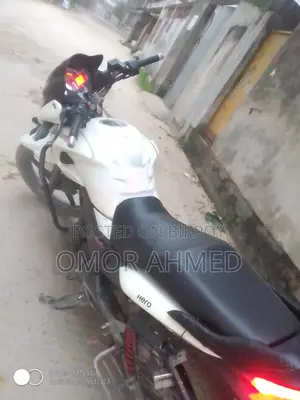 হিরো হাঙ্ক ২০১৬ সাদা