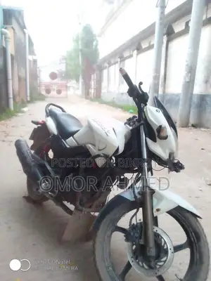 হিরো হাঙ্ক ২০১৬ সাদা