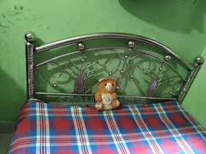 এস এস পালং