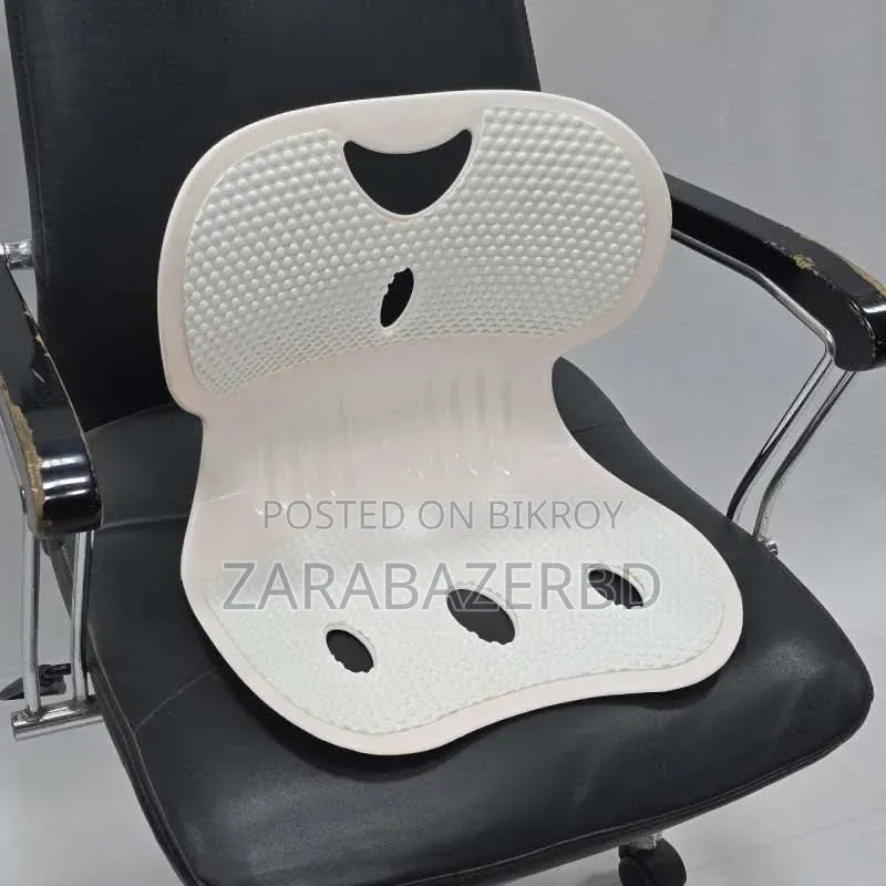 Back Support Chair
