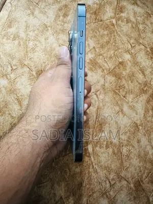 অ্যাপল আইফোন ১৩ প্রো ম্যাক্স ২৫৬ জিবি নীল